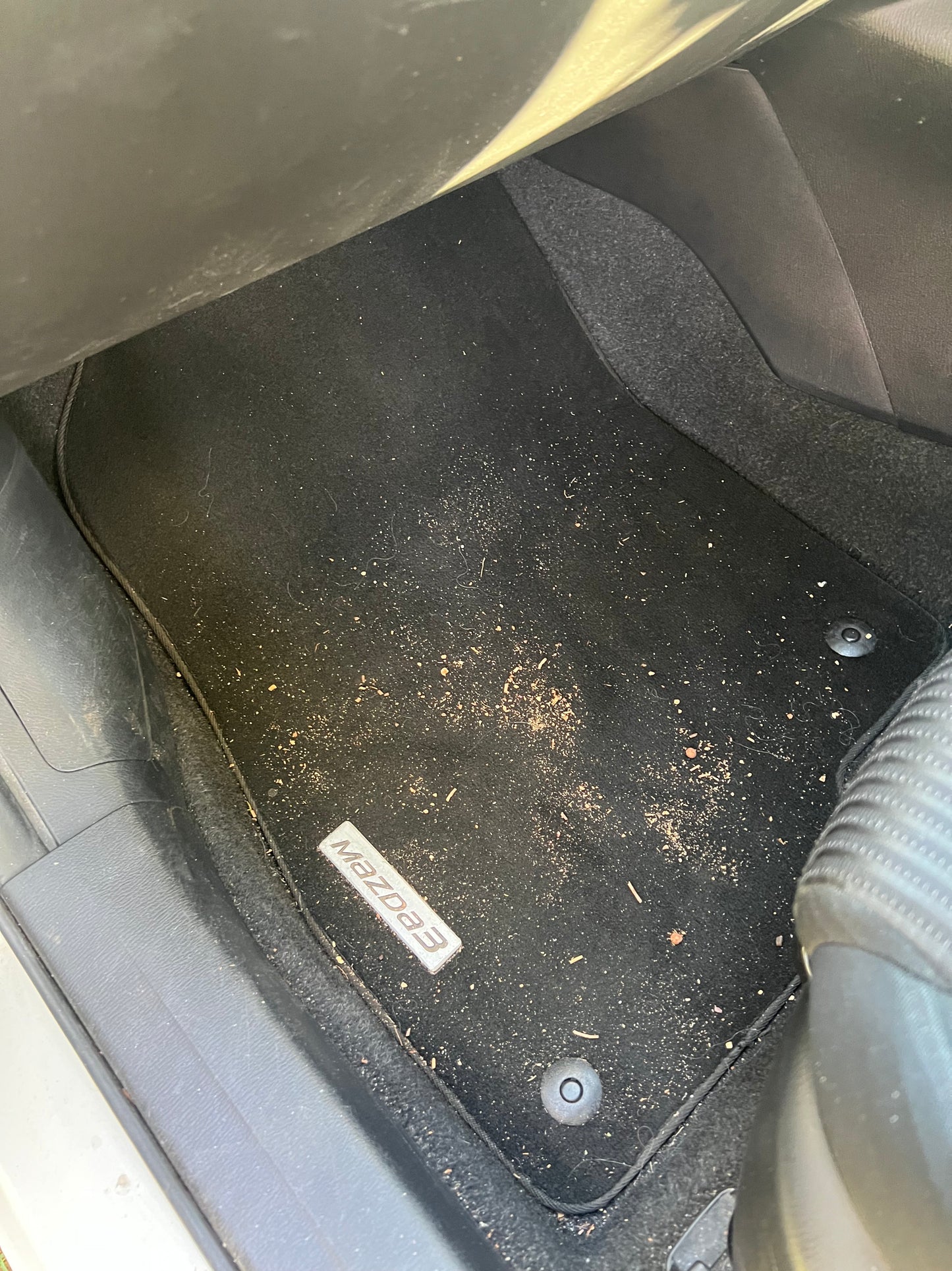 Interior and Exterior Wash
