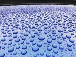 Premium Full Detail + Protection Package